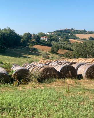 Terreno Agricolo