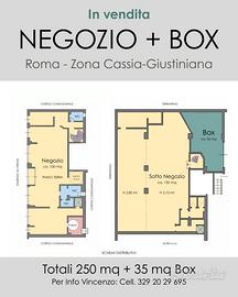 Negozio e Box