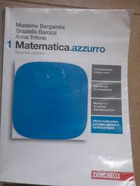 Matematica azzurro 1