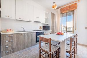 App 5p a 50m spiaggia lido conchiglie no agosto