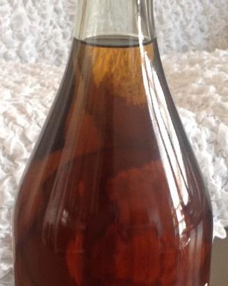 Bottiglia Vintage di Cognac Fine Champagne