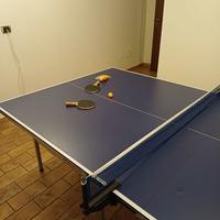tavolo ping pong TTT100 pongori