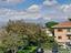 Immagine 7
