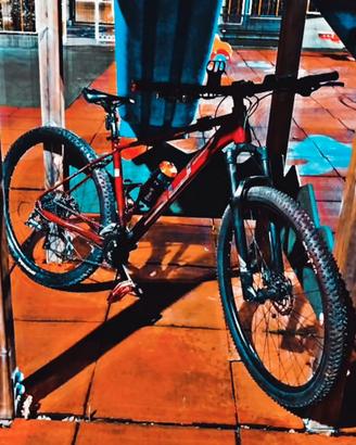 Superior Bike