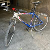 Bicicletta uomo-ragazzo cerchi 26