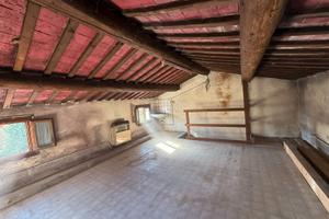 Mini a schiera