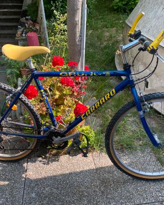 Coppia mtb