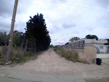 Galatina terreno edificabile