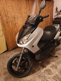 X max 250 - 2008