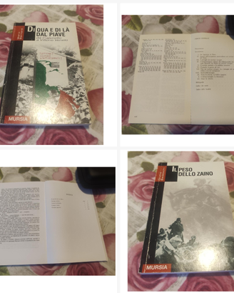 LOTTO 2 LIBRI STORIA ALPINI - MURSIA