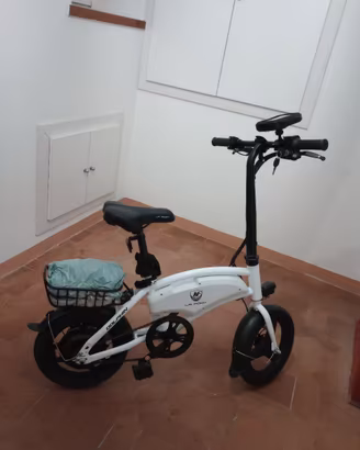 Bicicletta electrica