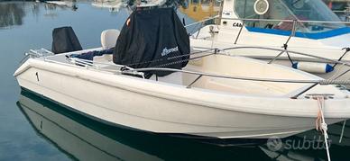 Barca fish 17 con Mercury 40xr