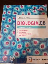 libri scolastici 