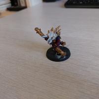 Seraphon - Eternity Warden