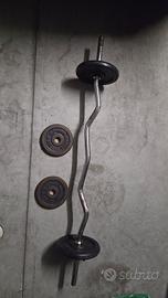 Barra sagomata per bicipiti