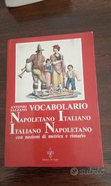Antonio Salzano"Vocabolario Napoletano."