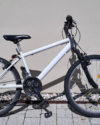 Bicicletta mountainbike 20"