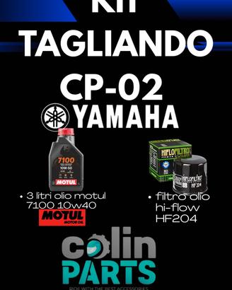 KIT TAGLIANDO YAMAHA CP-02 MT-07 TENERE TRACER T.T