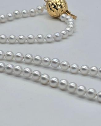 Collana perle akoya da 5.4 a 5.6 mm