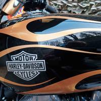 Sportster Custom - PERFETTA IN TUTTO