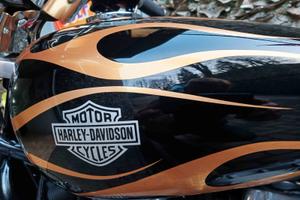 Sportster Custom - PERFETTA IN TUTTO