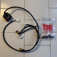 Tm racing cablaggio 4t