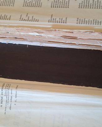 dizionario latino Gaffiot