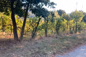 Terreno agricolo in Valdichio