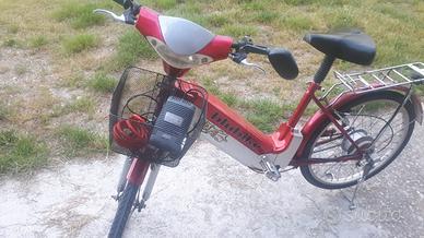 Bicicletta elettrica