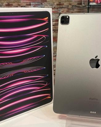 ipad pro 11” 4th gen M2 256gb wifi cell