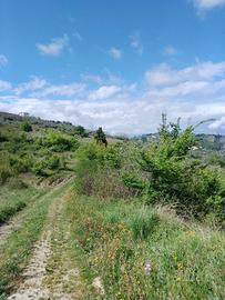 Terreno agricolo Manoppello (PE)