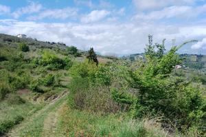 Terreno agricolo Manoppello (PE)