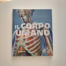 Il corpo umano – Guarda dentro