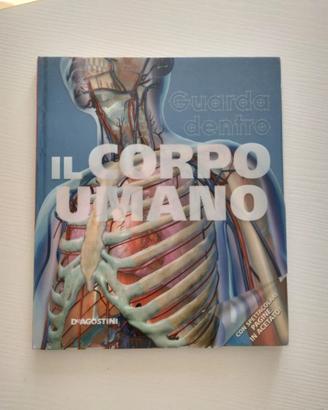 Il corpo umano – Guarda dentro