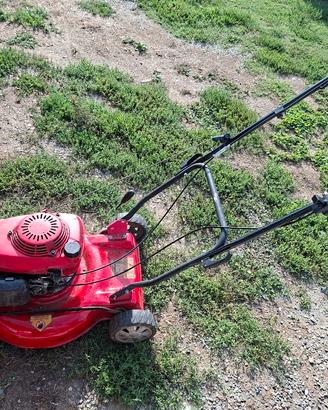 tagliaerba mulching