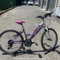 Bici mountain bike rosa bimbi