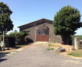 Terreno Agricolo Gavello [A4356VRG]