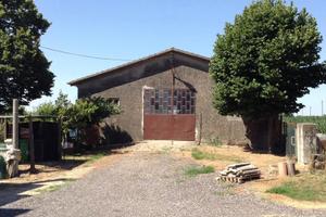 Terreno Agricolo Gavello [A4356VRG]