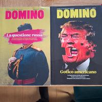 Rivista sul  mondo che cambia " DOMINO"