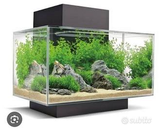 Acquario askoll fluval edge