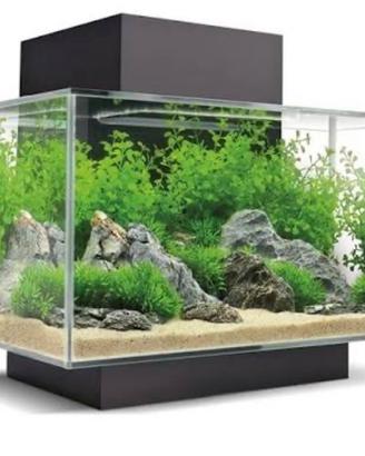 Acquario askoll fluval edge