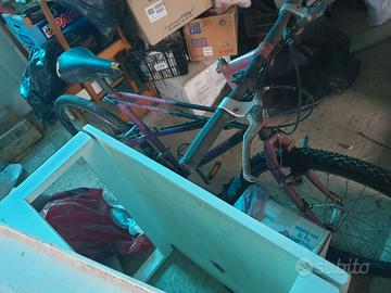 Bicicletta Bianchii