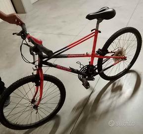 bicicletta ragazza 