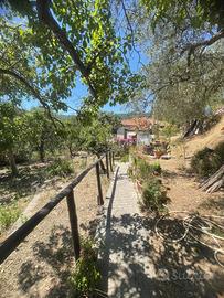 Villetta indipendente con giardino