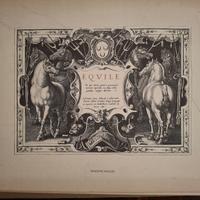 EQUILE LA NOBILTà DEL CAVALLO