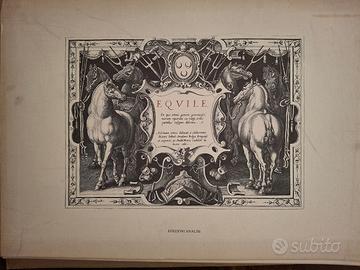 EQUILE LA NOBILTà DEL CAVALLO