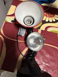 Lampada per terrario