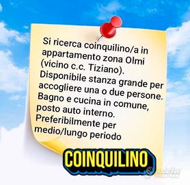 Ricercasi coinquilino/i