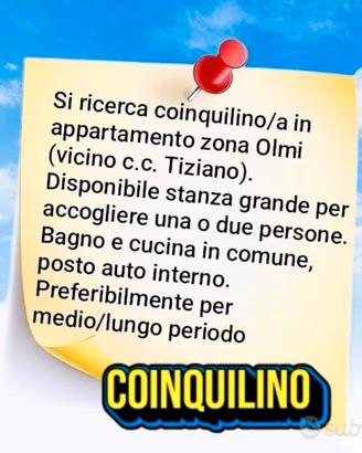 Ricercasi coinquilino/i