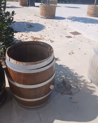 botte in legno, barrique 225